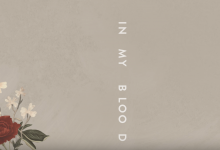 Shawn Mendes – In My Blood
